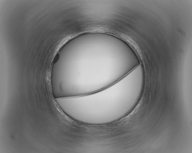X0000111141481200906301007