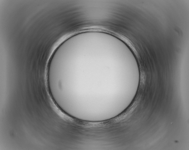 X0000111141482200906301007