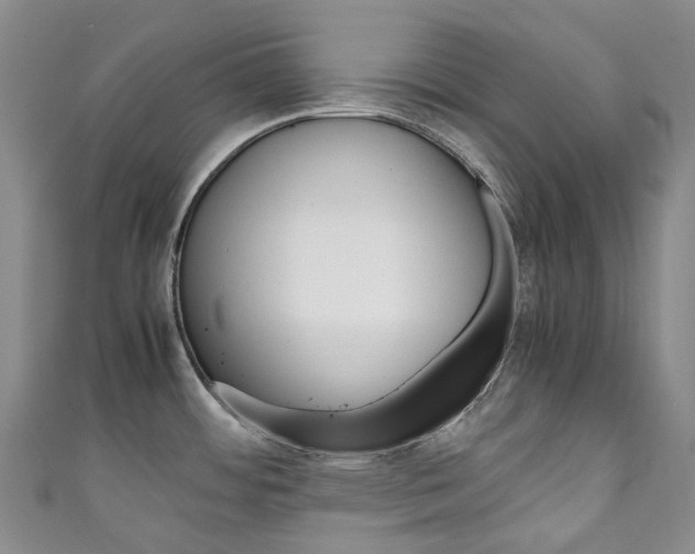 X0000111141484200906301007
