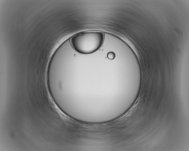 X0000111141485200906301007