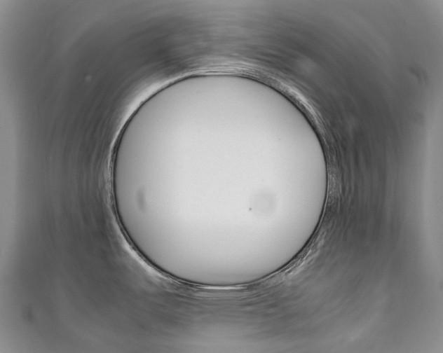 X0000111141487200906301007