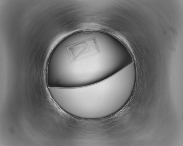 X0000111141488200906301007