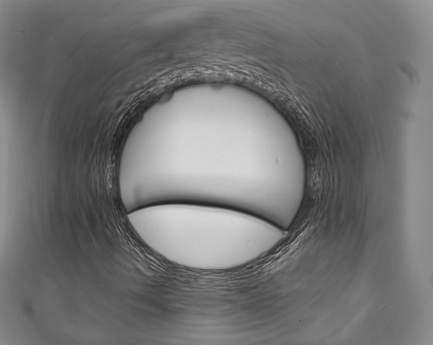 X0000111141490200906301006