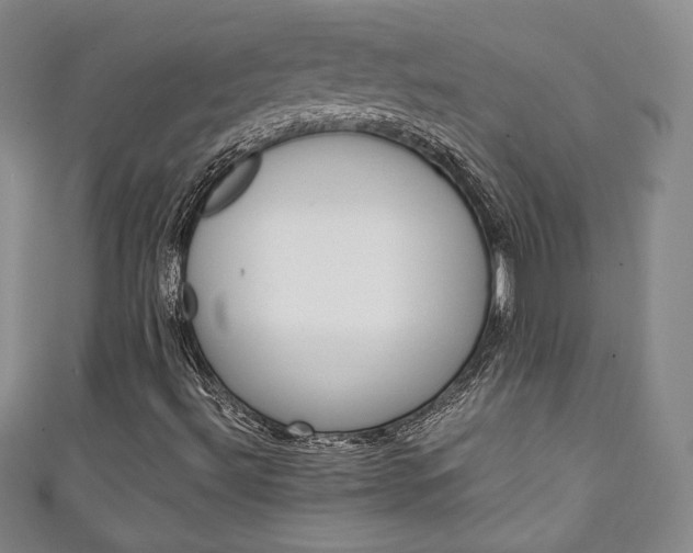 X0000111141492200906301006