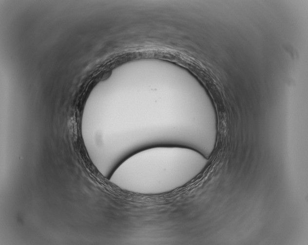 X0000111141493200906301006