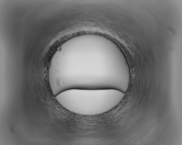 X0000111141495200906301006