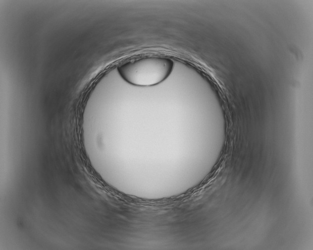 X0000111141496200906301006