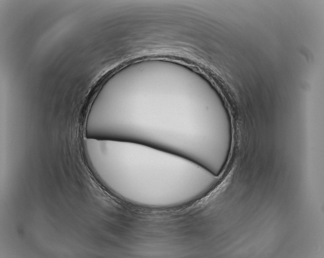 X0000111141497200906301006