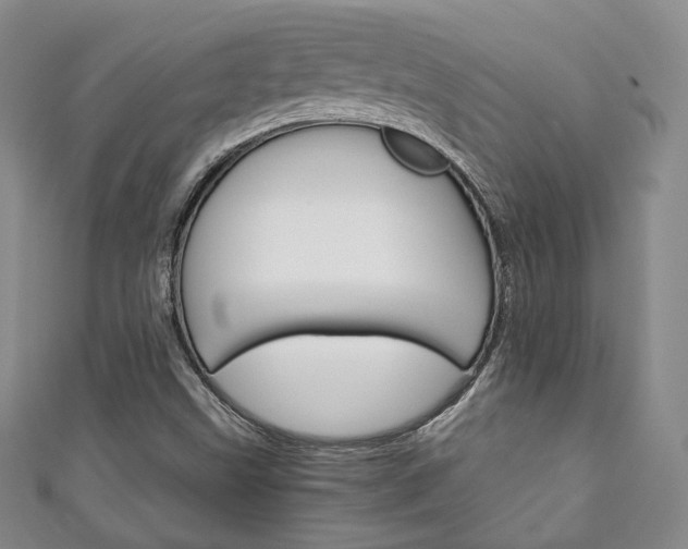 X0000111141499200906301006