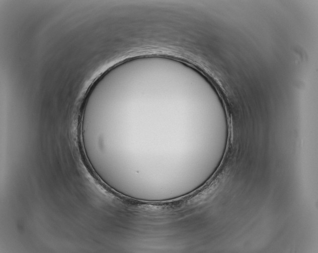 X0000111141500200906301006
