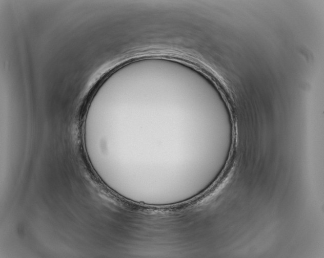 X0000111141501200906301006