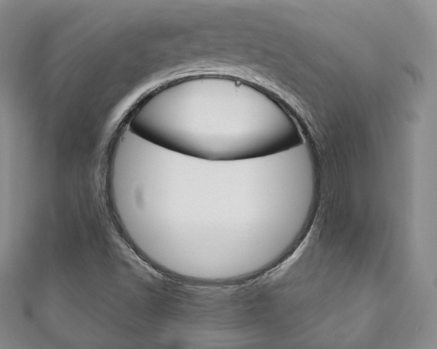 X0000111141502200906301006