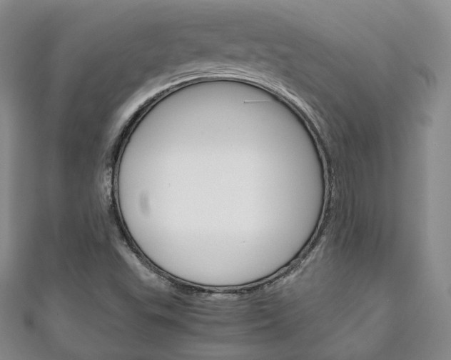 X0000111141503200906301006