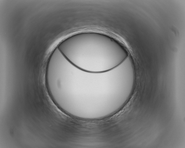 X0000111141504200906301006