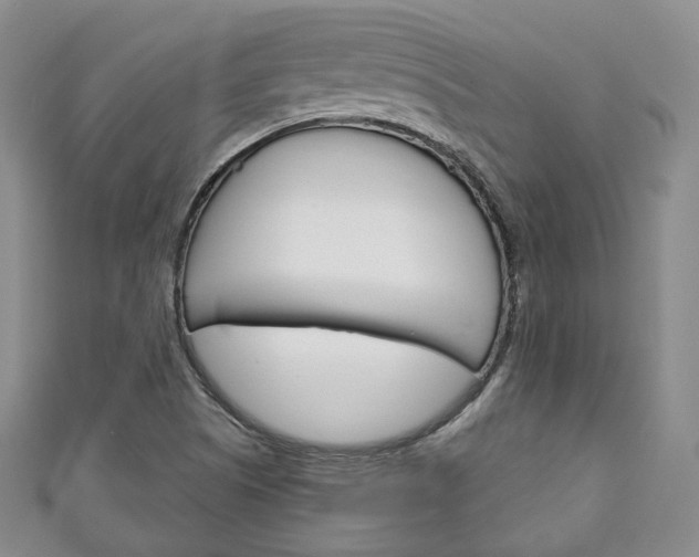 X0000111141505200906301006