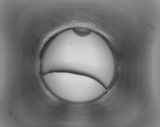 X0000111141507200906301006