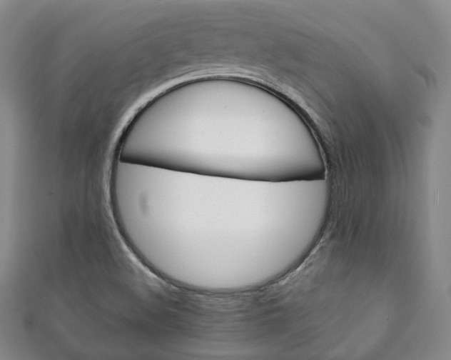 X0000111141508200906301006