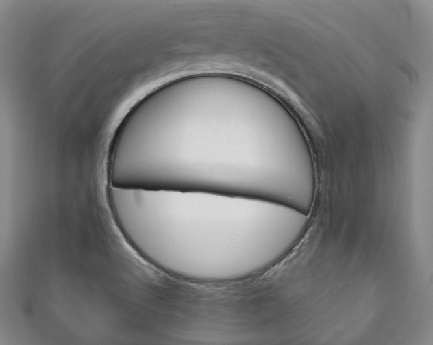 X0000111141512200906301006