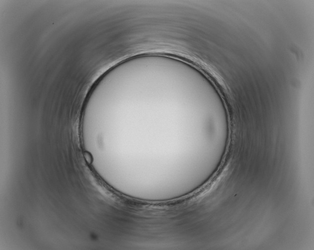 X0000111141513200906301006