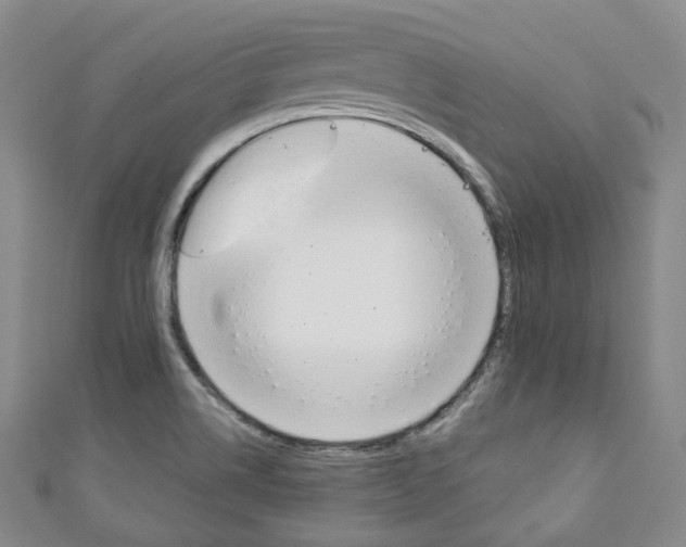 X0000111141514200906301006