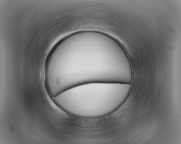 X0000111141515200906301006