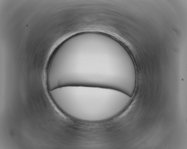 X0000111141517200906301007