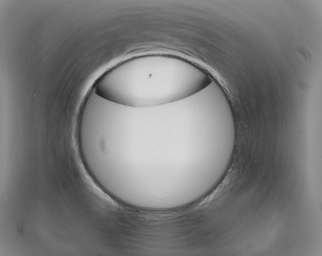X0000111141518200906301007