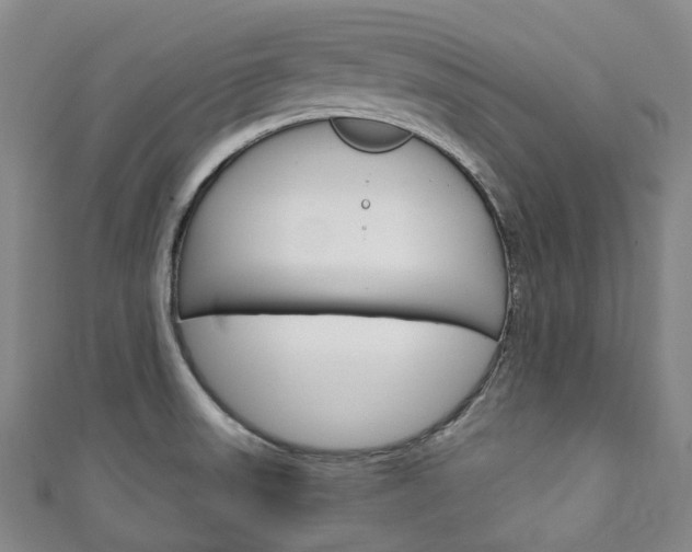 X0000111141523200906301007