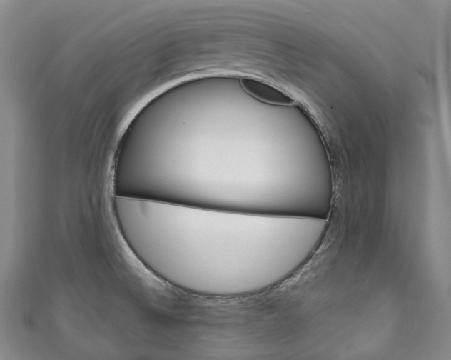 X0000111141524200906301007