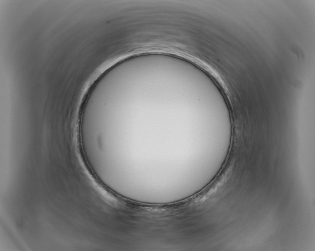 X0000111141525200906301007