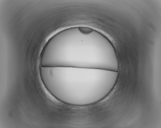 X0000111141526200906301007