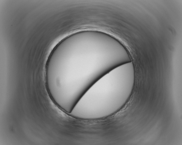X0000111141527200906301007