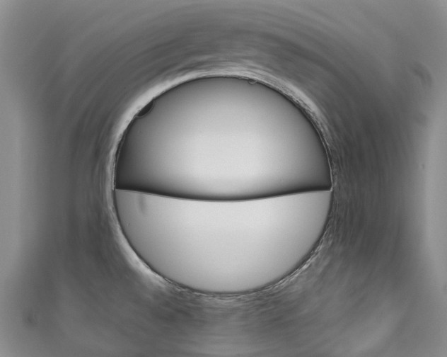 X0000111141528200906301007