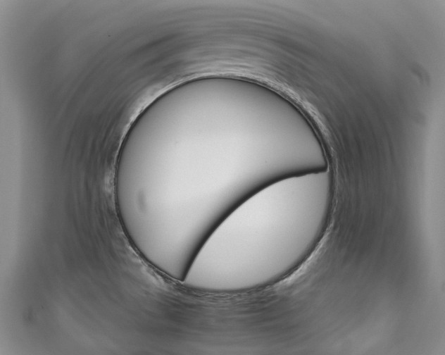 X0000111141529200906301007