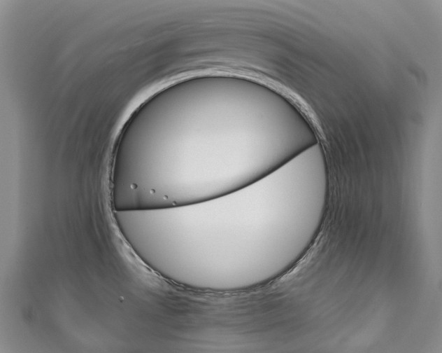 X0000111141530200906301007