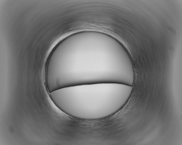 X0000111141531200906301007