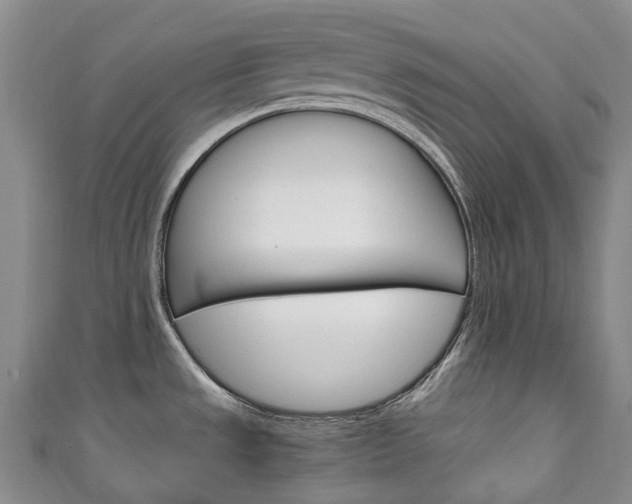 X0000111141533200906301007