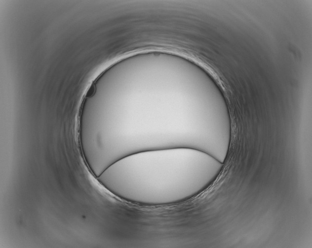 X0000111141535200906301007
