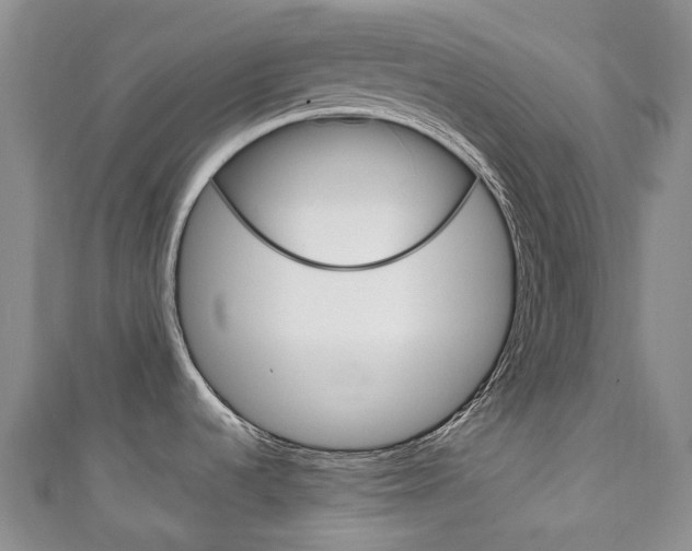 X0000111141536200906301007