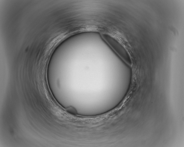 X0000111140001200906301239