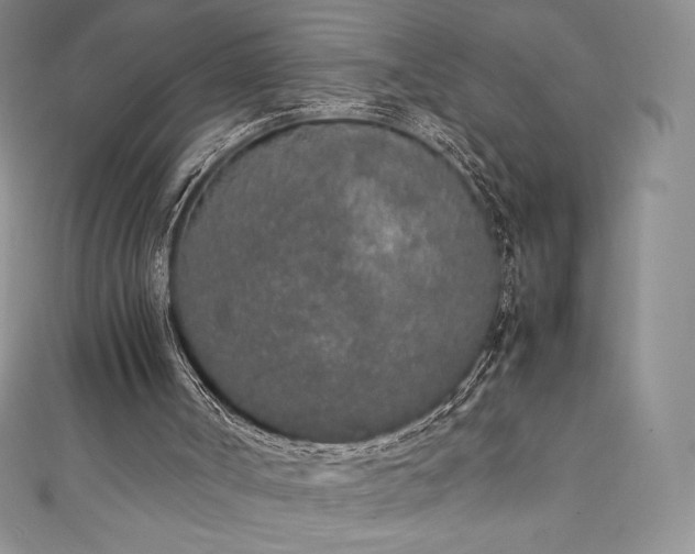 X0000111140002200906301239