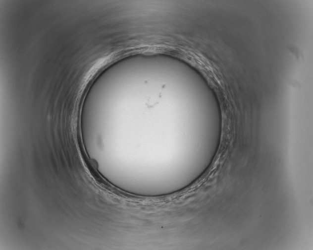 X0000111140003200906301239