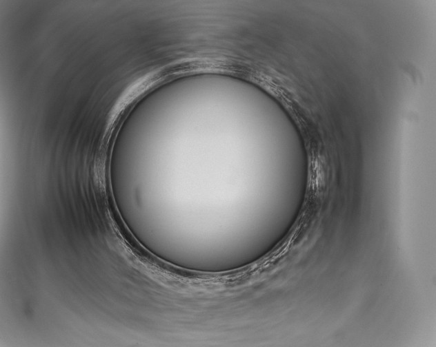 X0000111140004200906301239