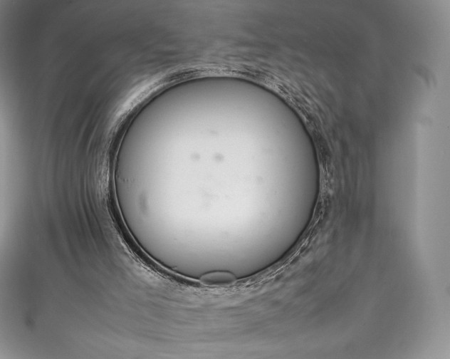 X0000111140005200906301239