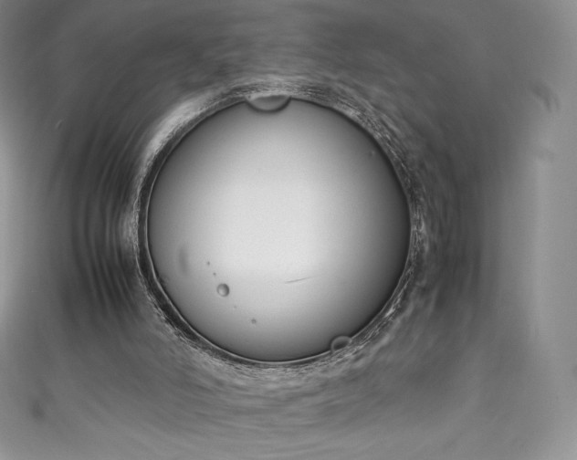 X0000111140006200906301239