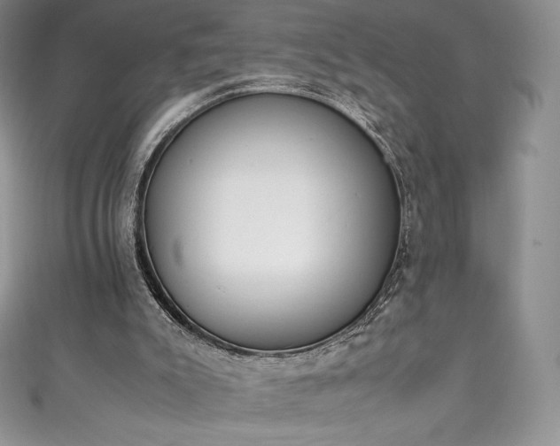 X0000111140007200906301239