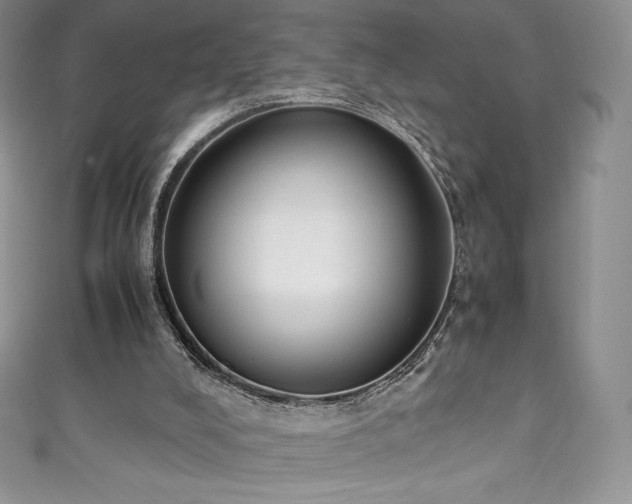 X0000111140008200906301239