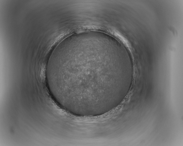 X0000111140009200906301239