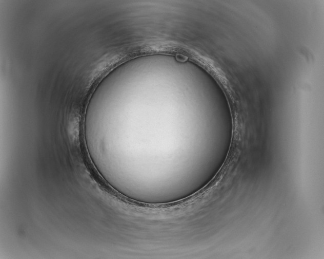 X0000111140010200906301239