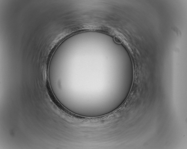 X0000111140011200906301239